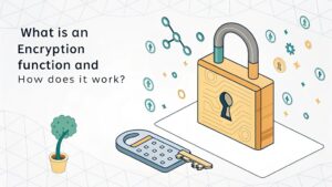 encryption function mechanism explained
