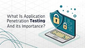 application security assessment process