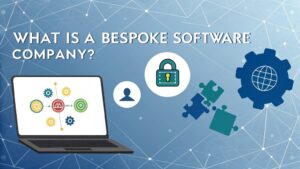 custom software development significance