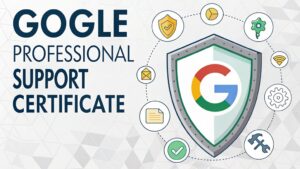 google professional support certification