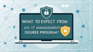 it management degree overview