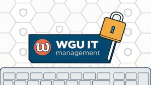 it management insights from reddit