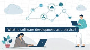 software development outsourcing model