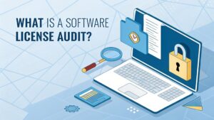 software license compliance assessment