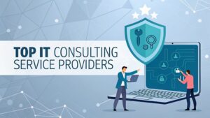 top it consulting providers